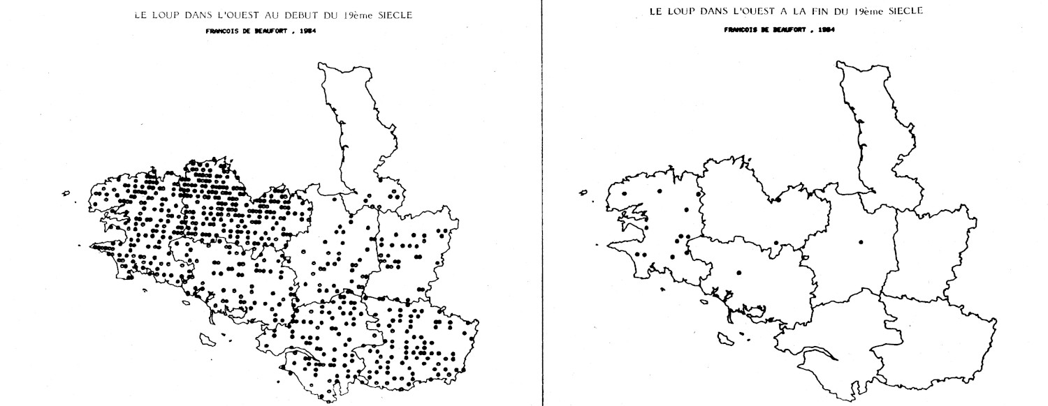 Les primes versées à partir de la Révolution française permettent de cartographier la présence du loup au XIXe siècle en Bretagne ainsi que les derniers foyers où l’espèce se reproduit encore à la fin du XIXe - Cartes F. de Beaufort