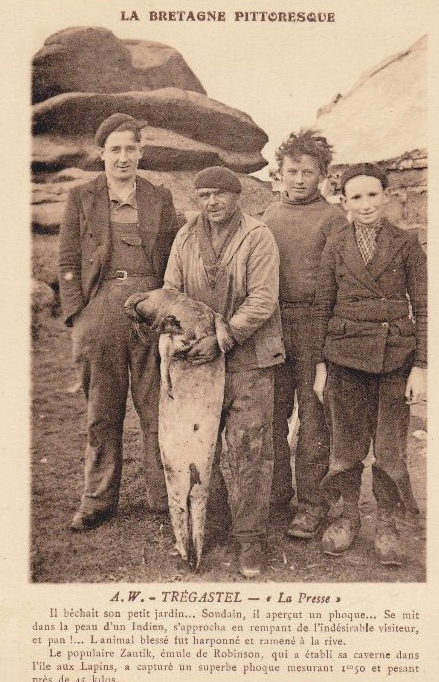 Zantic, de son vrai nom Alexandre Marie Lefebvre (1893-1968) était un personnage connu à Perros-Guirec. Il a tué ce phoque avec son fusil à proximité de l’Île aux lapins (Collection F. de Beaulieu).