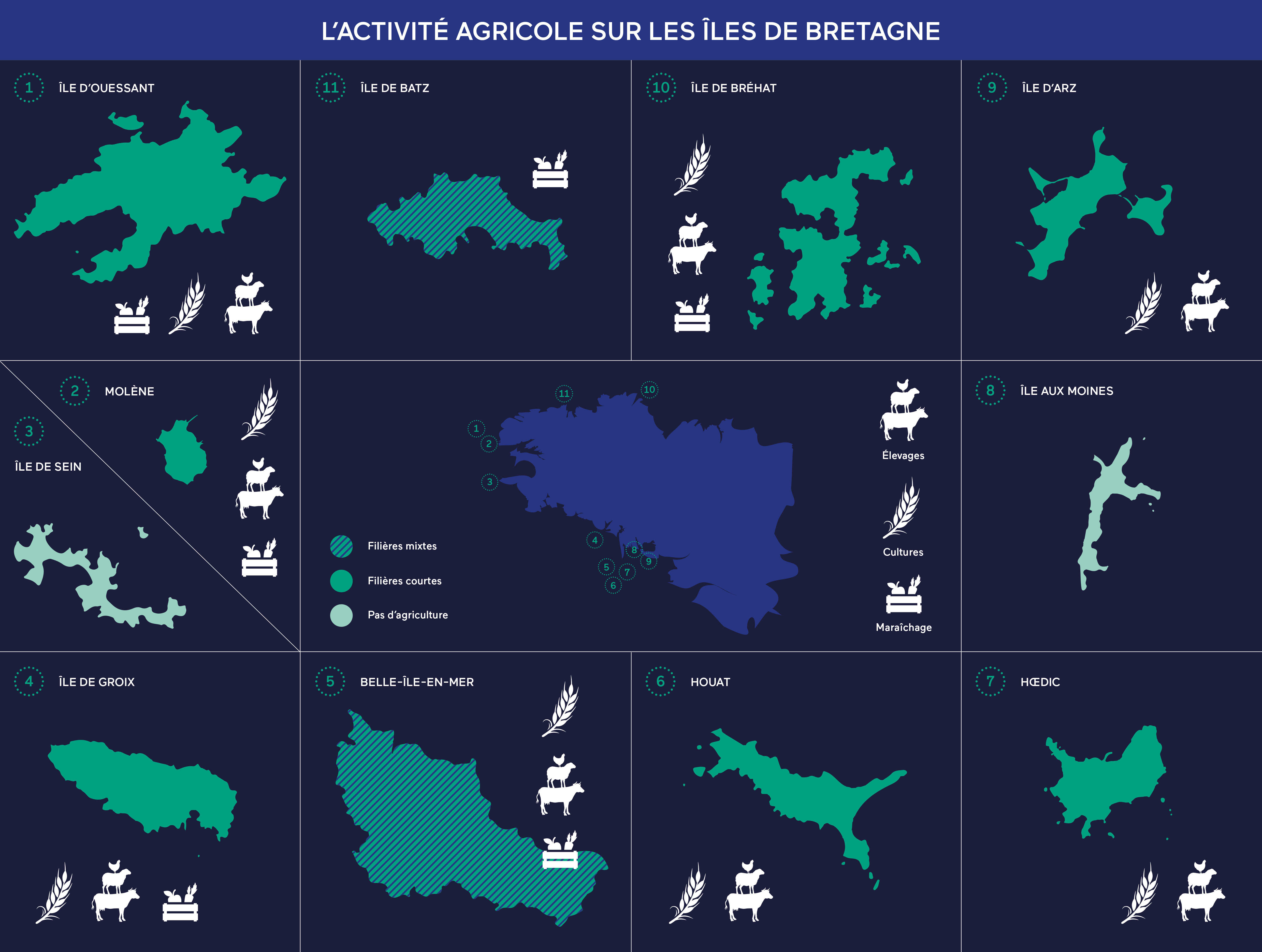Carte de l'activité agricole sur les îles de Bretagne. Réalisée par Laure Bombail.