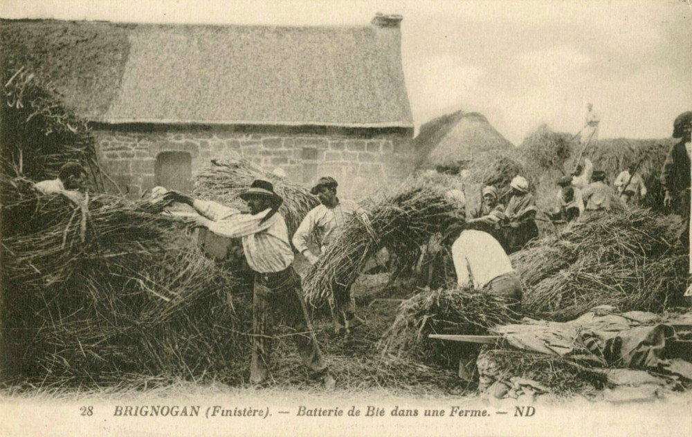 Batterie du blé dans une ferme de la commune de Brignogan-Plages (Finistère) dans le 1e quart du 20e siècle. Édité par Lévy et Neurdein réunis. Source : Cartolis