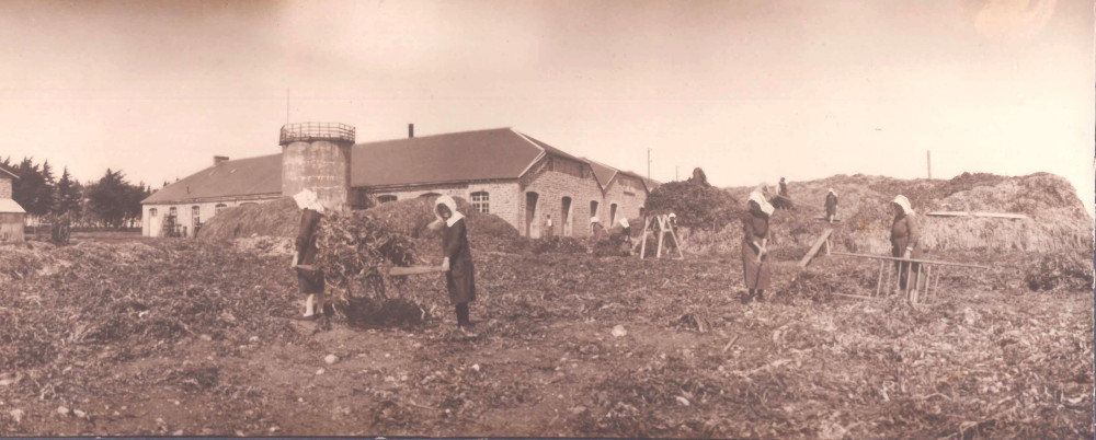 Femmes ouvrières à l’usine CECA de Pleubian (22), créée à la fin du XIXe siècle. Source : collection particulière Guy Prigent.