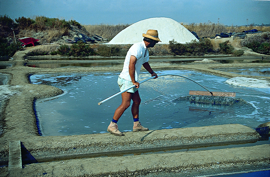 À tirer le gros sel sur une ladure de la saline Sigam en Guérande - Photo : Gildas Buron