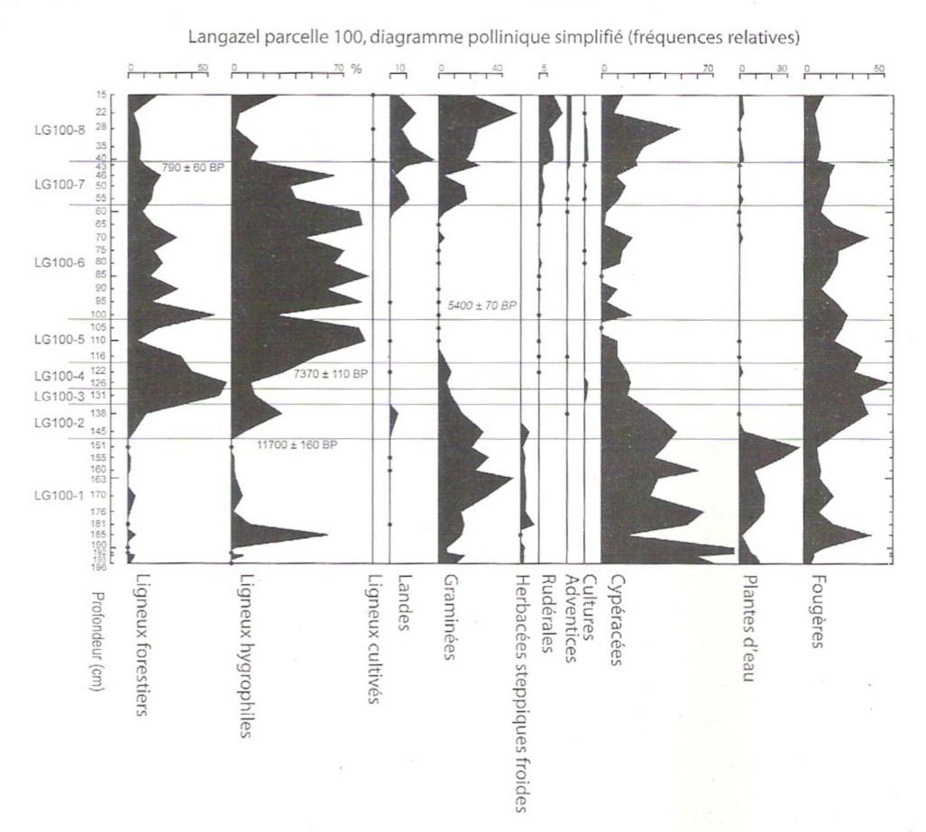 Diagramme pollinique simplifié de la tourbière de Langazel (Trémaouézan – 29) montrant la succession et l’importance relative des plantes depuis la fin de la dernière glaciation (Gaudin et al. in Durfort, 2007)