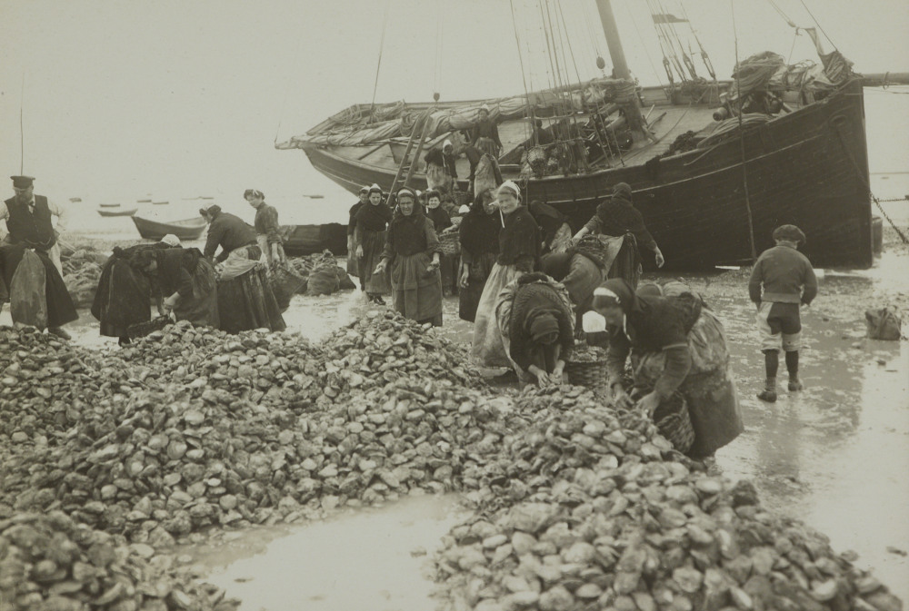 Tri des huîtres à Cancale au début du XXe siècle. Photo : Paul Géniaux (1873-1929). Source : Collection du Musée de Bretagne, Rennes.