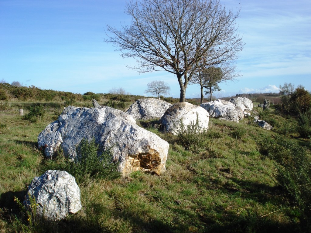 La Croix-Saint-Pierre. Le péristyle sud du tertre en quartz blancs. Le tertre est entouré de plusieurs dolmens enchâssés dans leur cairn résiduel - photo CPIE Val de Vilaine