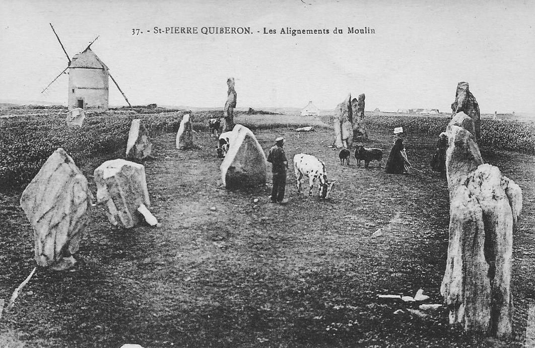Vigne de la presqu’île de Quiberon. À l’époque de son extension maximum (vers 1900) le vignoble de Rhuys débordait largement sa presqu’île d'origine, jusqu' à Carnac et la presqu’île de Quiberon à l'ouest -  fonds Guy Saindrenan