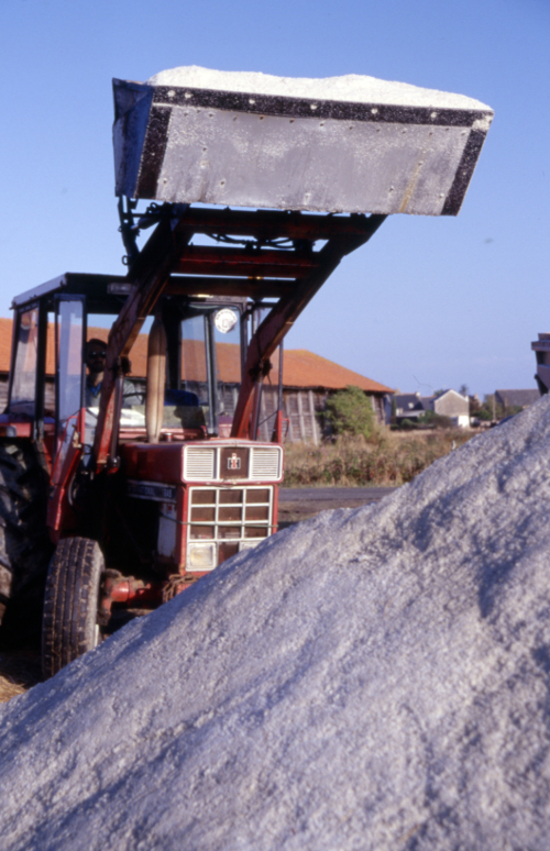 La mécanisation du travail. Chargement d’un mulon de sel au tracteur lors d’un roulage de fin d’été, saline Bornies en Batz - photo : Gildas Buron