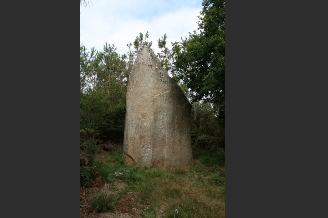 Menhir de Regnon (Pleucadeuc). Crédit : Philippe Gouezin.