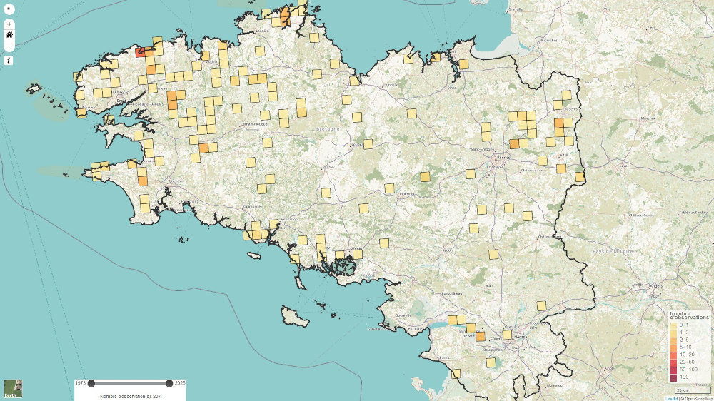 Carte de répartition de l'hermine en Bretagne. Source : Groupe mammalogique breton.